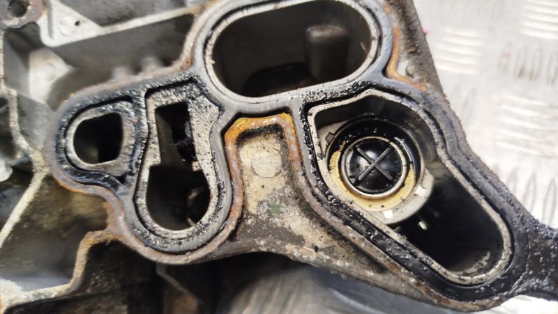 Корпус масляного фильтра 500 2008 Хэтчбэк 3 дв. 1.3 169A1000