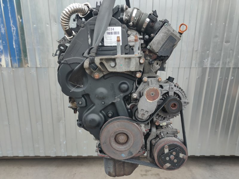 Двигатель Ford Focus 2 1.6 (б/у)