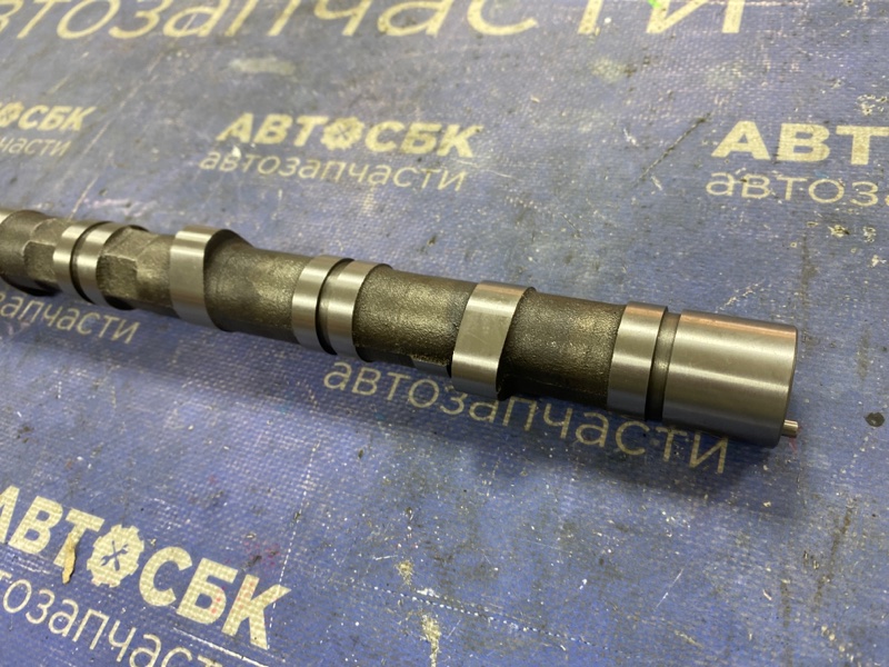 Распредвал ACCORD RD4 K20A