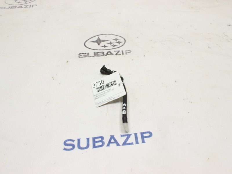 Форсунка омывателя Subaru Impreza G12 2003 задняя