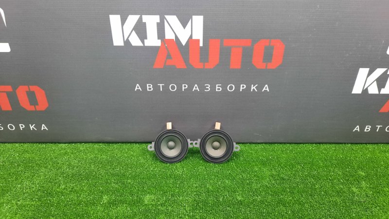 Динамик двери Infiniti QX50 J55 2019 2.0 KR20DDET 281535CA2B Б/У