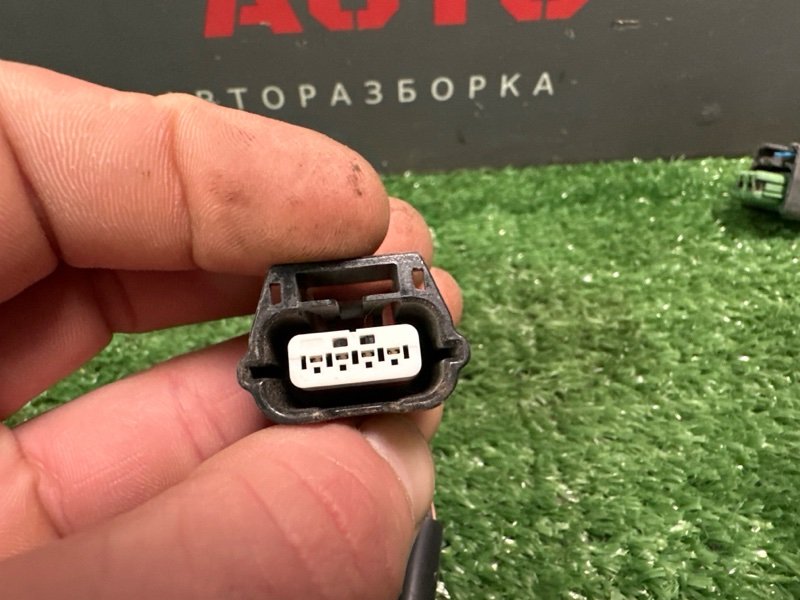 Проводка крышки багажника X-Ray Cross 2022 1.6 H4MD