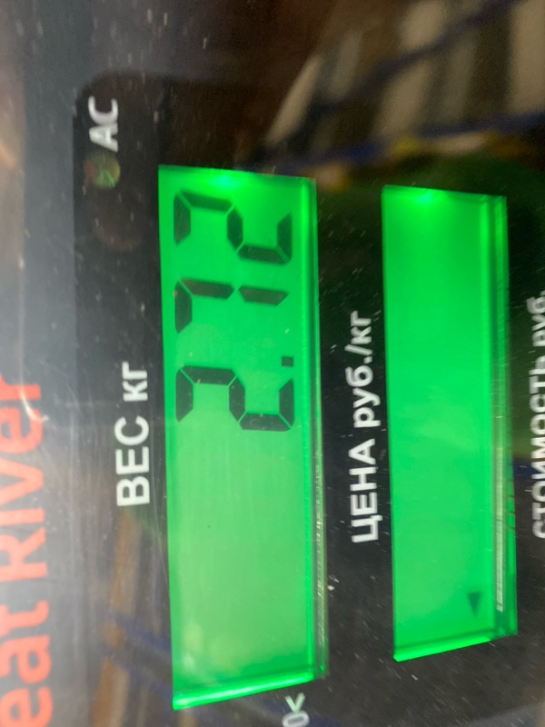 Амортизатор подвески передний Frontera B 2001 Z32SE Амортизатор подвески передний Frontera B 2001 Z32SE