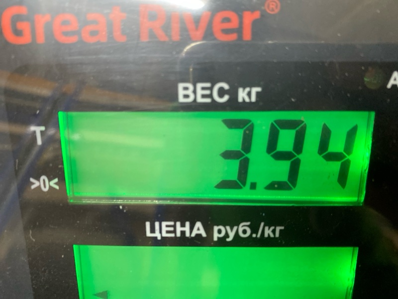 Амортизатор подвески Frontera B 2001 Z32SE Амортизатор подвески Frontera B 2001 Z32SE