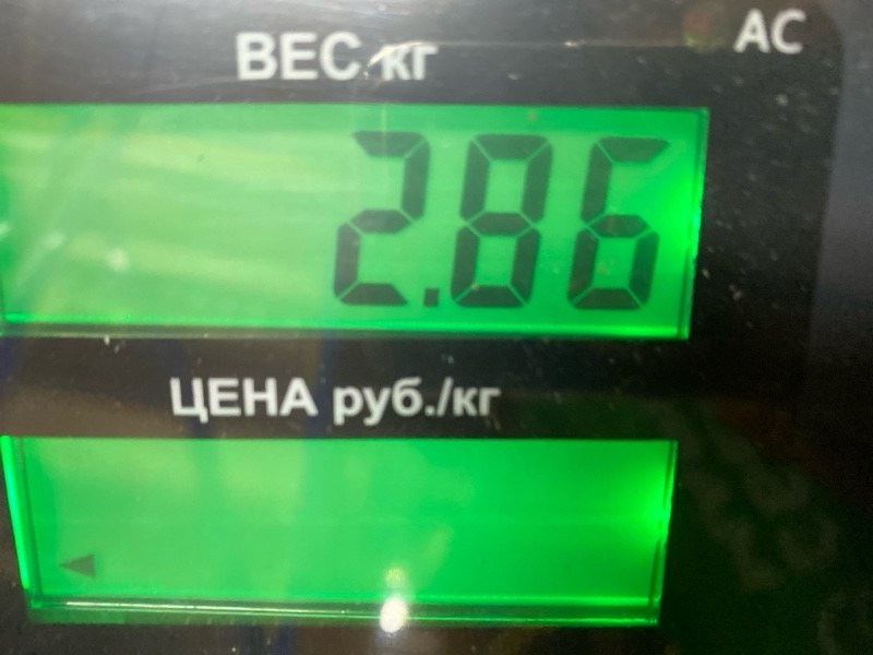 Амортизатор подвески Frontera B 2001 Z32SE Амортизатор подвески Frontera B 2001 Z32SE