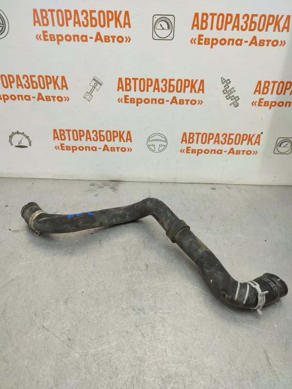 Запчасть патрубок радиатора Ford Focus 2 2008 1.6 л 3M5H8260BK Б/У Патрубок радиатора Ford Focus 2 2008 1.6 л 3M5H8260BK Б/У