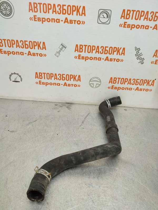 Патрубок радиатора Focus 2 2008 1.6 л Патрубок радиатора Focus 2 2008 1.6 л