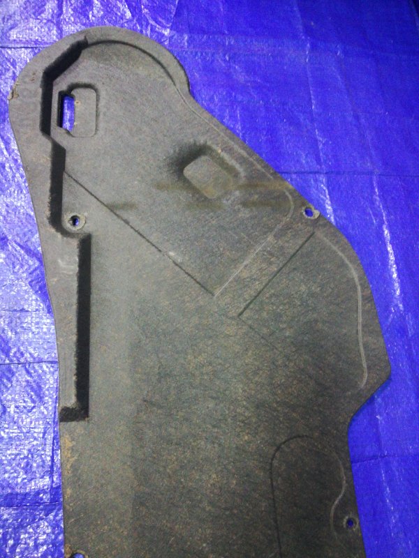 Обшивка капота Demio DY3W