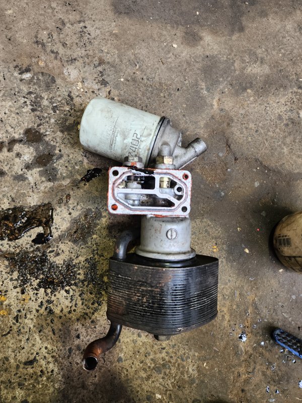 Engine oil cooler BIGHORN 1995 UBS69 4JG2