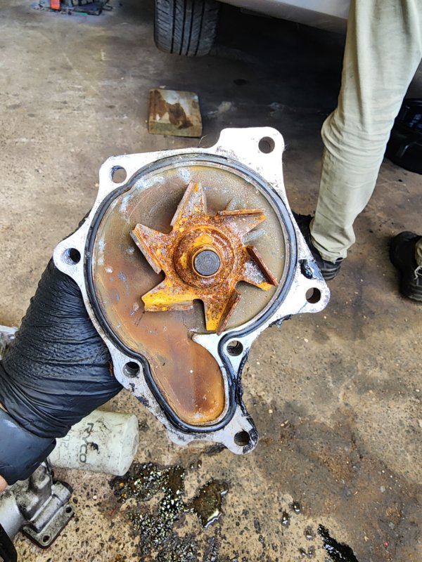 Water pump ISUZU BIGHORN 1995 UBS69 4JG2 USED