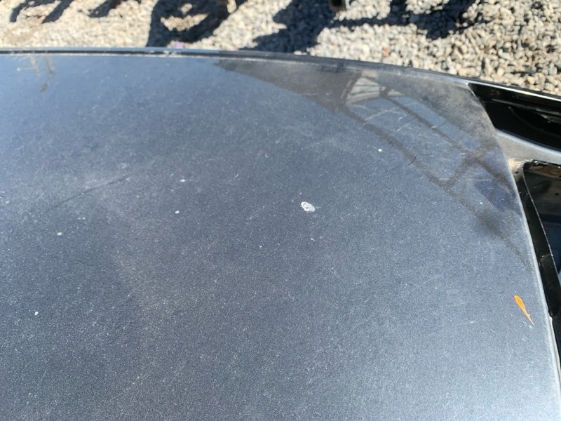 Крыша Octavia 2016 A7 1.6 CWV