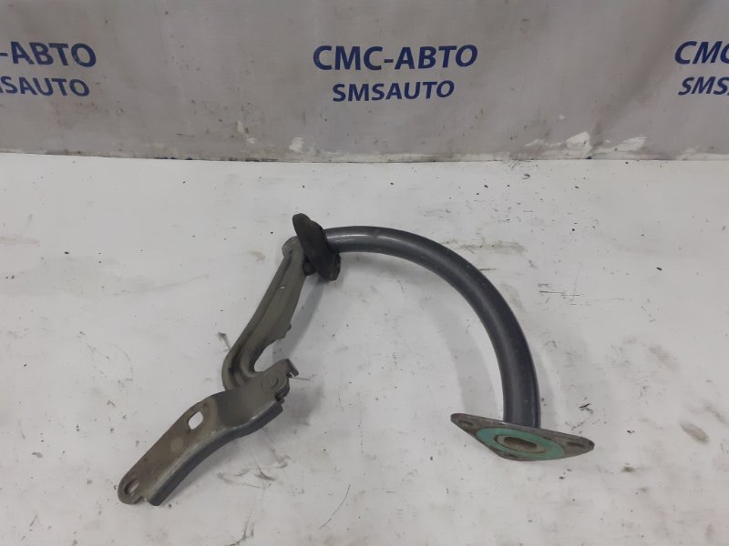 Петля багажника правая Passat 2006-2008 B6 2.0 Петля багажника правая Passat 2006-2008 B6 2.0