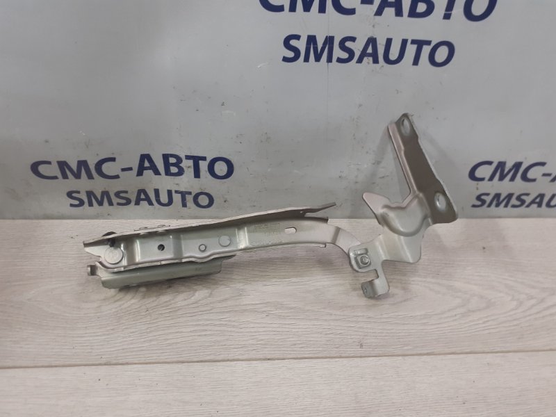 Петля капота правая V40 V40 Cross country B5204T9