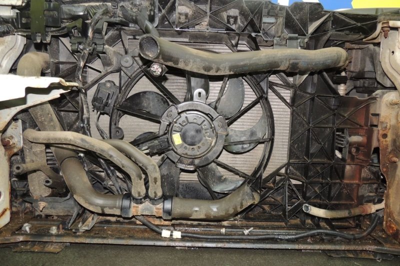 Nose cut FLUENCE L30R H4MD
