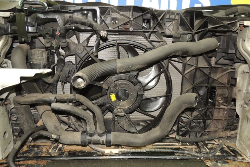 Nose cut FLUENCE L30R H4MD