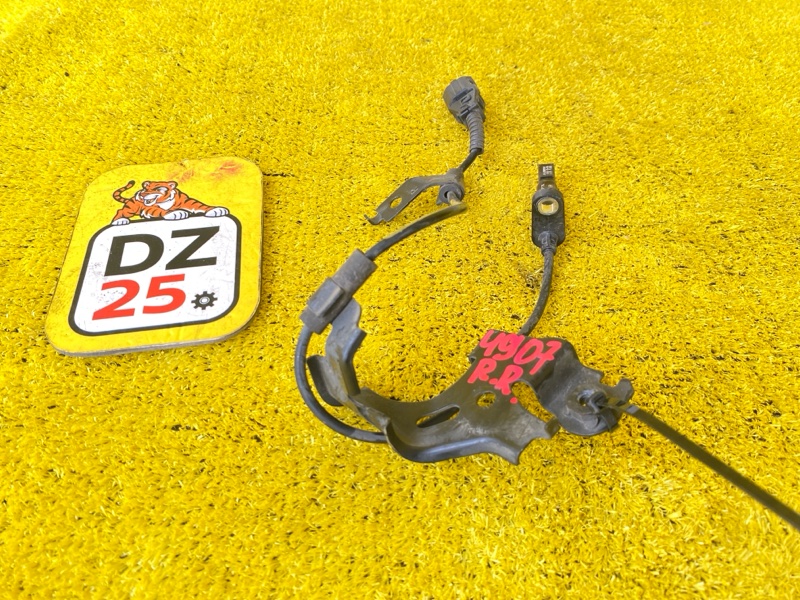 Датчик abs задний правый RX450H/RX450HL/RX350/RX350L/RX300/RX200T 2020/Цвет 083 GYL25W/GYL25L/GYL25R/GYL20W/GYL20L/GYL20R/GYL20/GYL26W/GYL26L/GYL26/AGL20W/AGL20L/AGL20R/AGL25W/AGL25L/AGL25R/GGL20W/GGL20L/GGL20R/GGL21R/GGL25W/GGL25L/GGL25R/GGL26W/GGL26L/GGL26R 2GRFXS