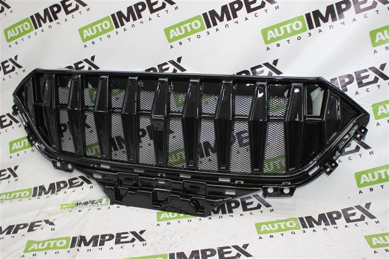 Решетка радиатора Тюнинг M6 2020-2024