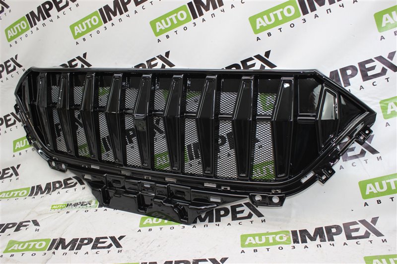 Решетка радиатора Тюнинг M6 2020-2024