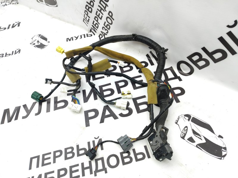 Проводка двери передняя левая Murano 3
