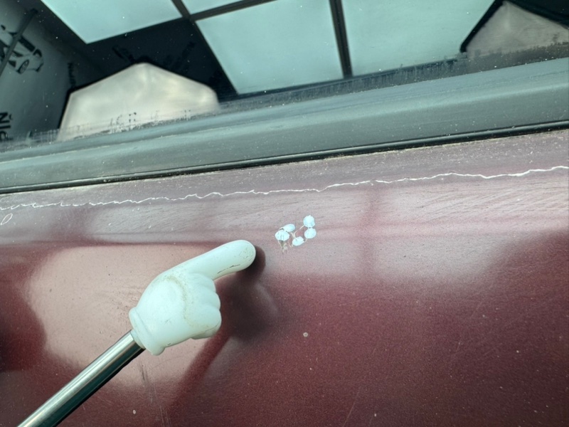 Крышка багажника Sequoia 2