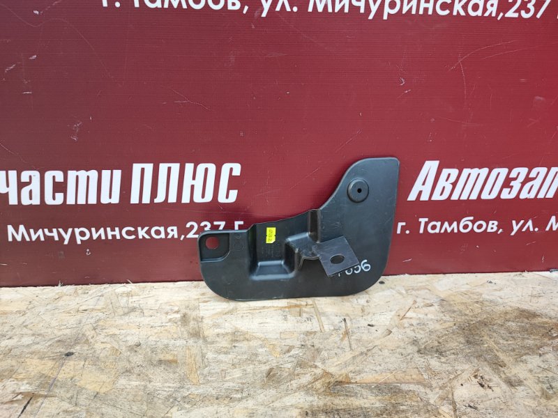 Брызговик