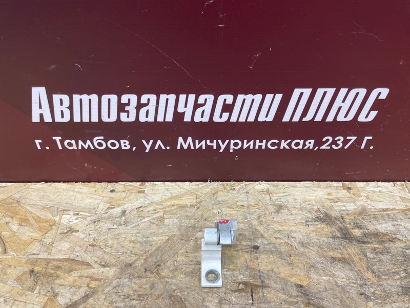 Петля двери