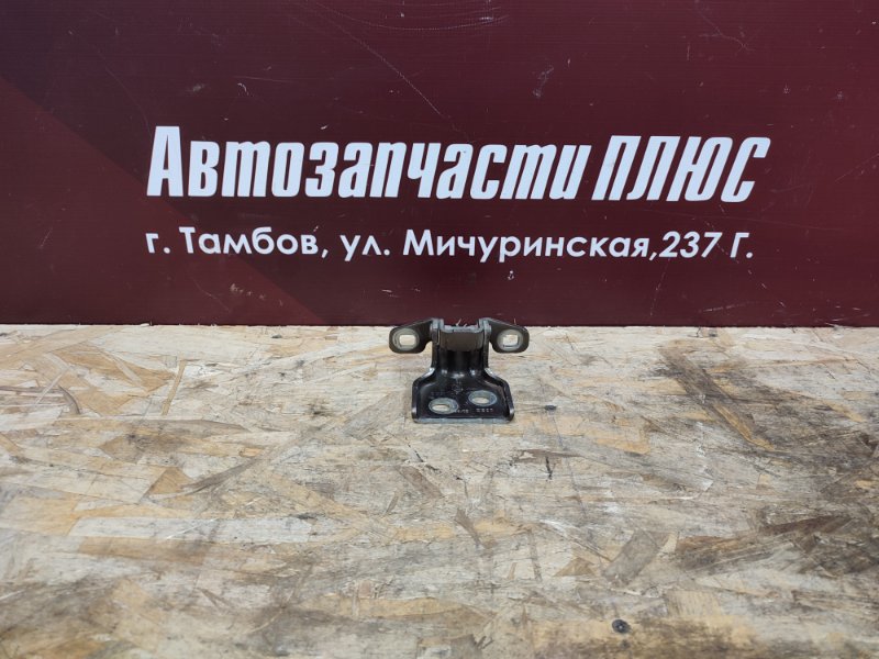 Петля двери