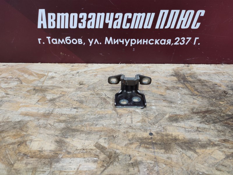 Петля двери