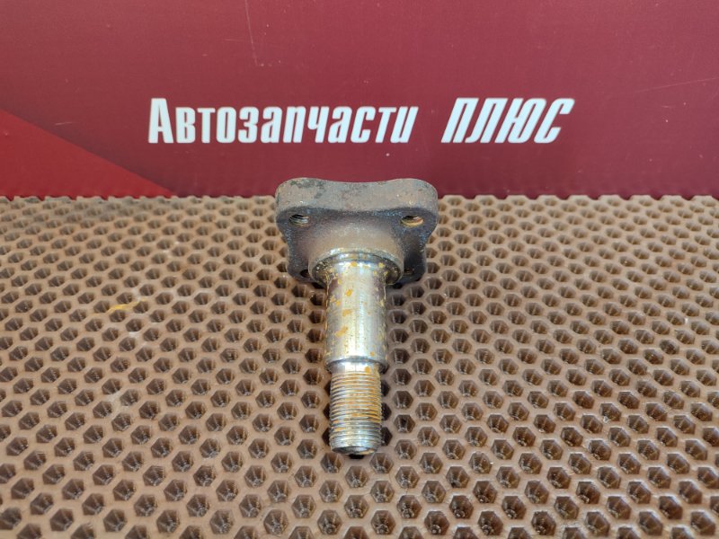 Цапфа