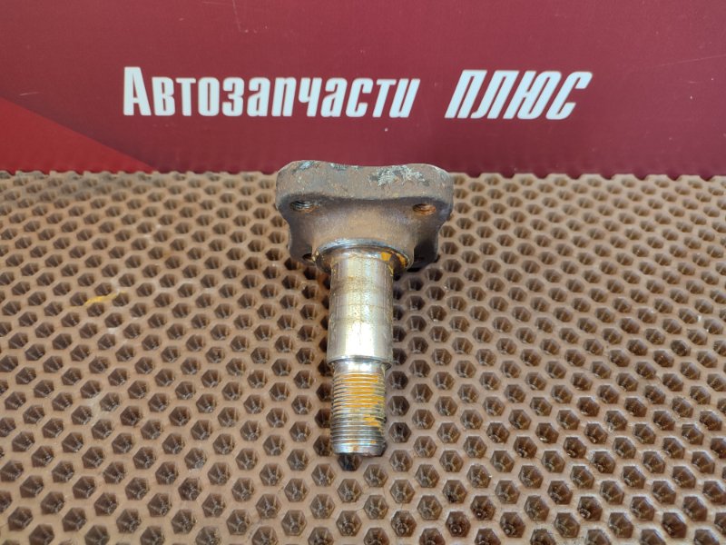 Цапфа