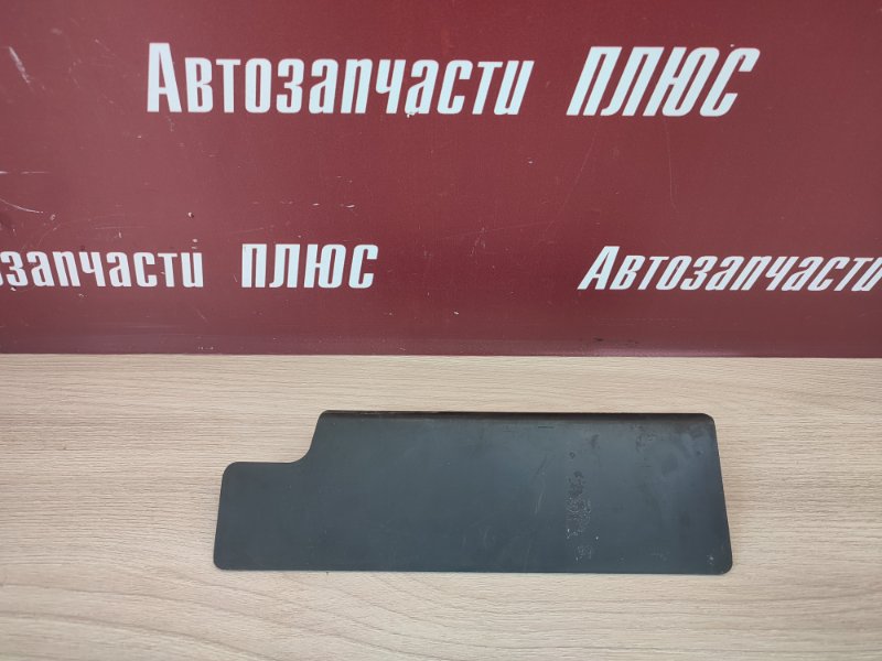 Брызговик