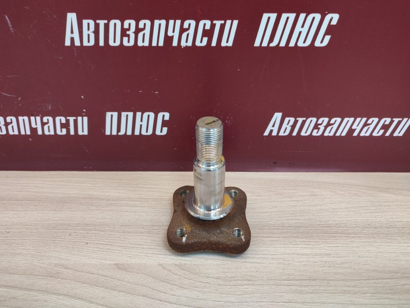 Цапфа