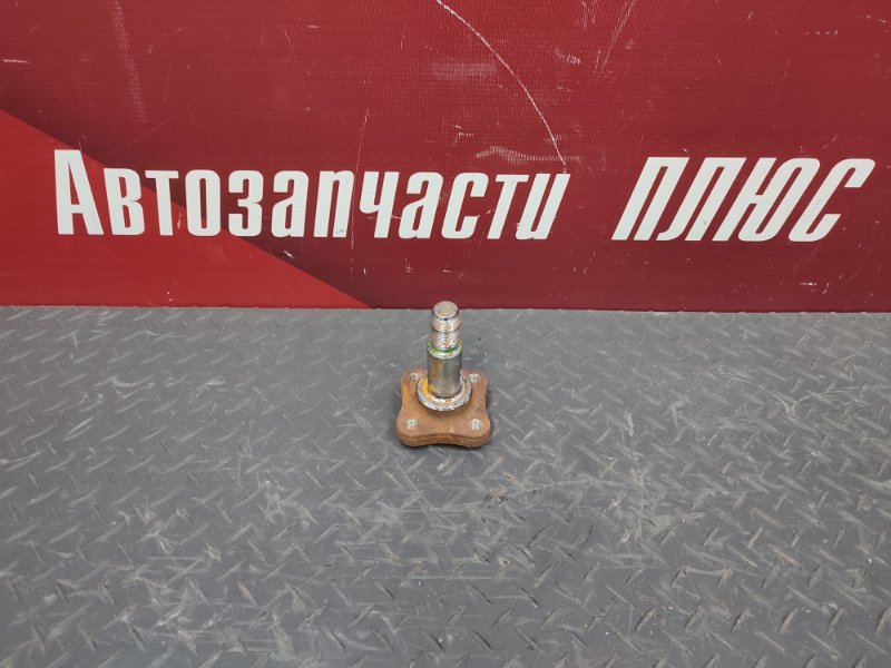 Цапфа