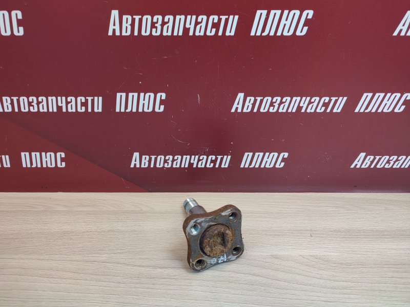 Цапфа