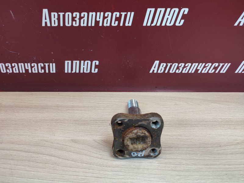 Цапфа