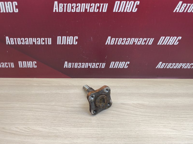 Цапфа