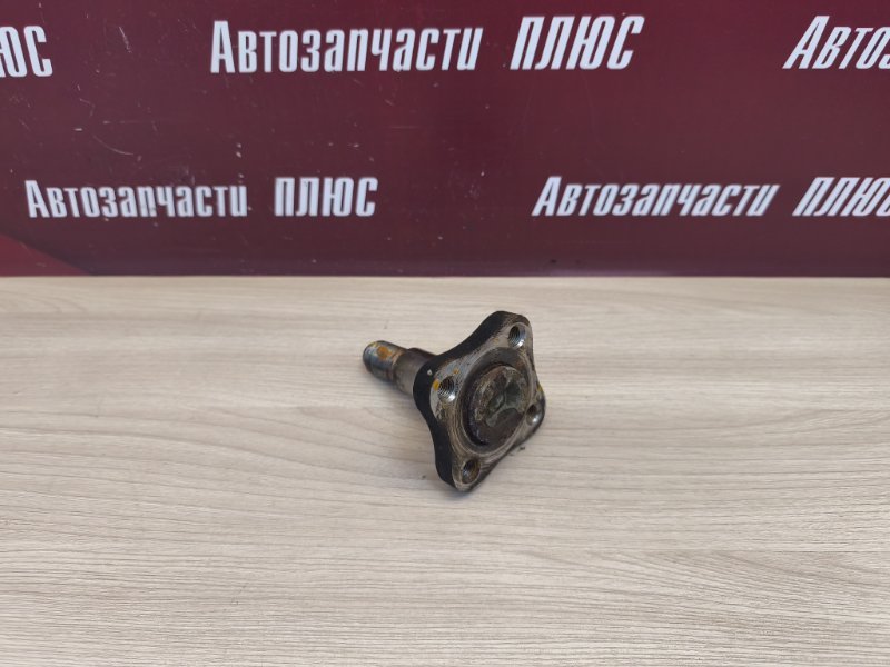Цапфа