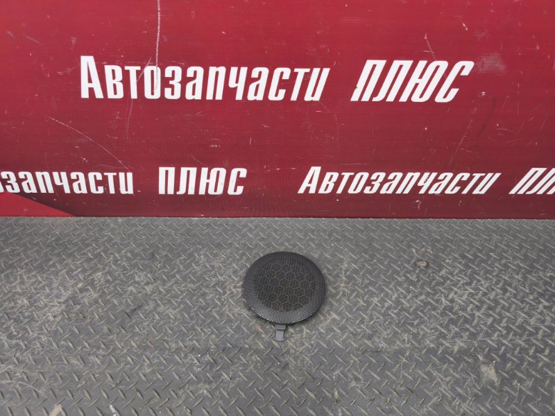 Крышка динамика