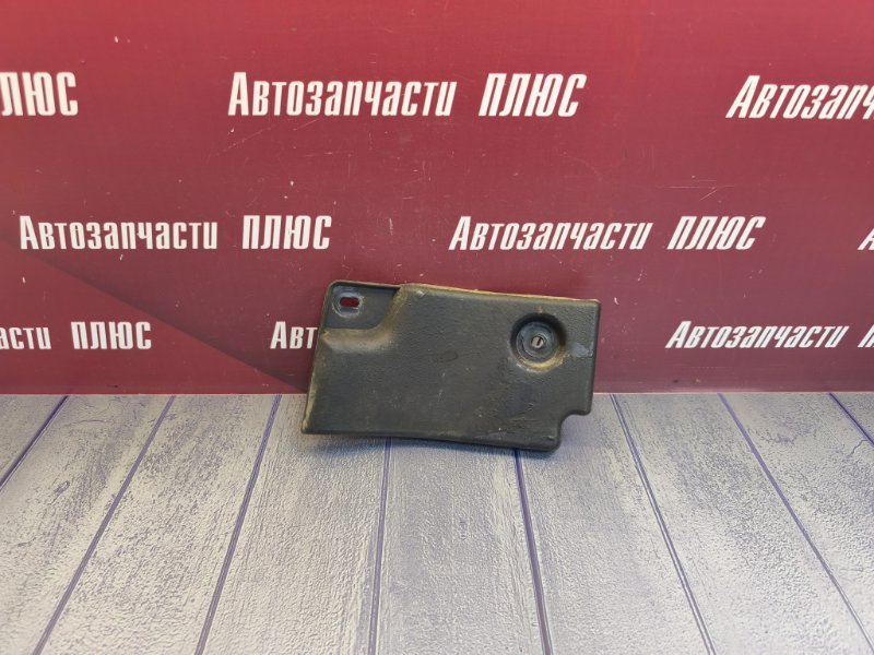 Пыльник