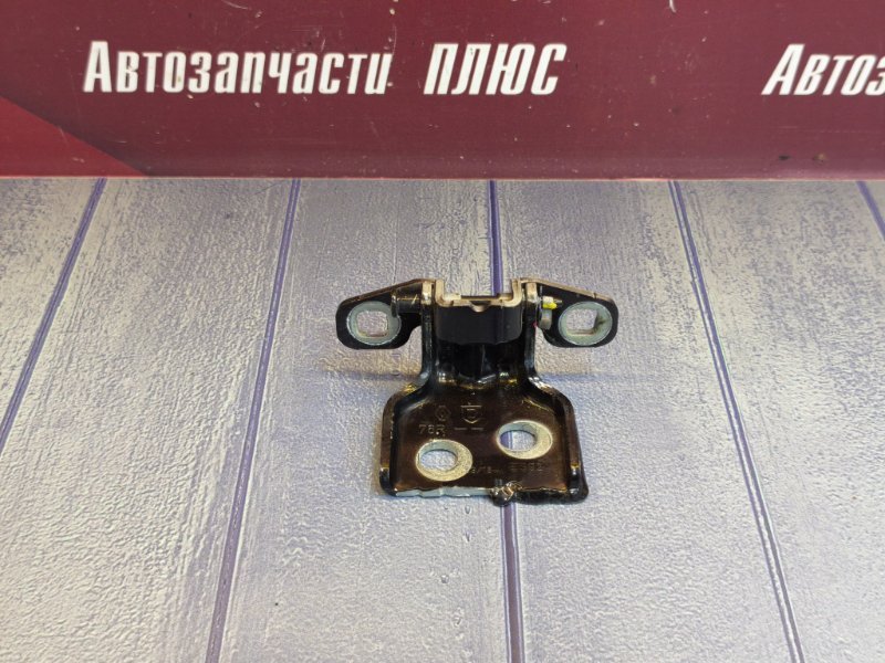 Петля двери