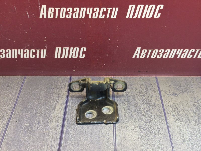 Петля двери