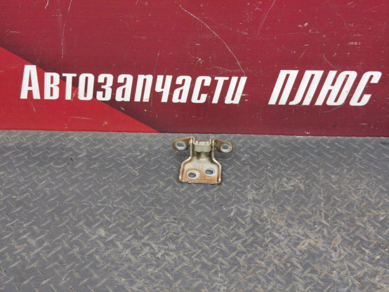 Петля двери