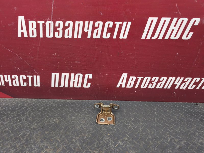 Петля двери