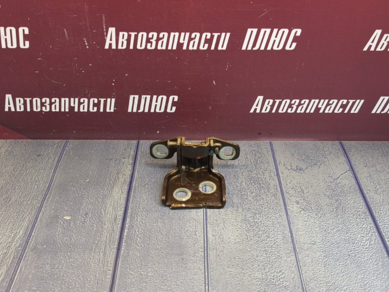 Петля двери