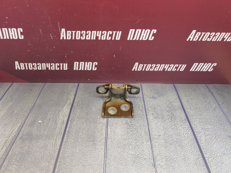 Петля двери