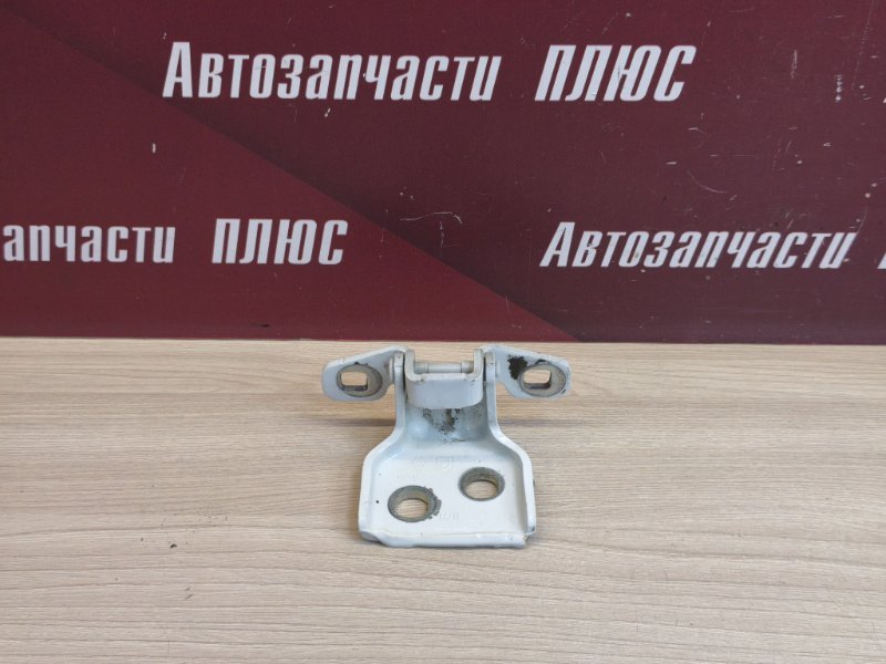 Петля двери