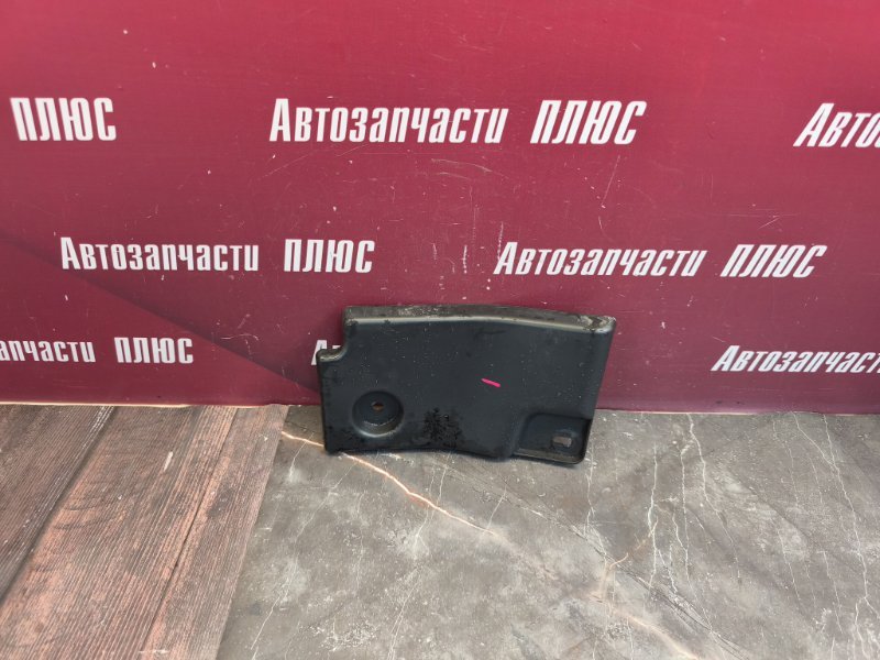 Пыльник