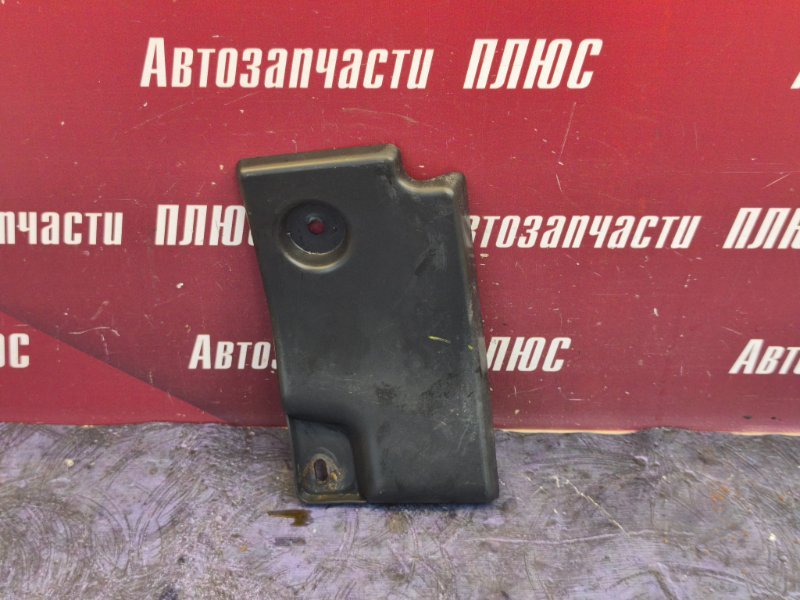 Пыльник