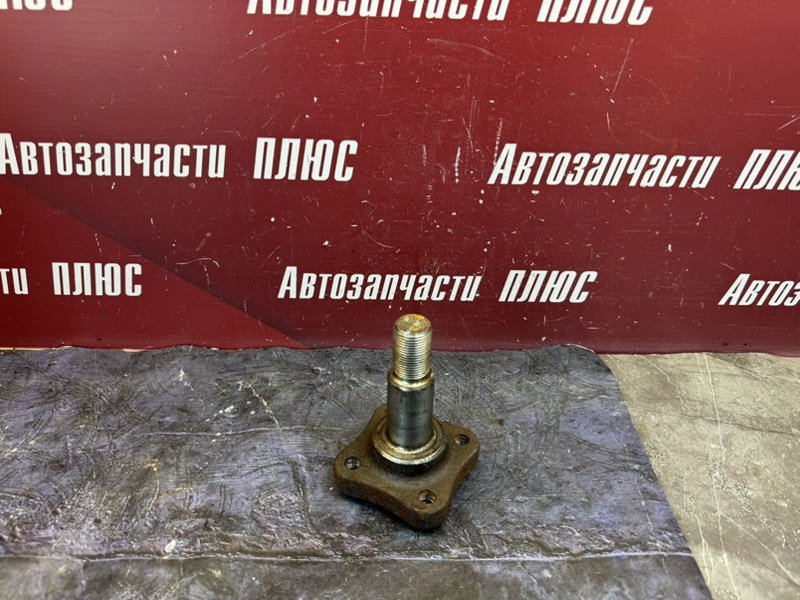 Цапфа
