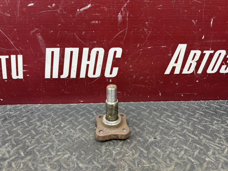 Цапфа